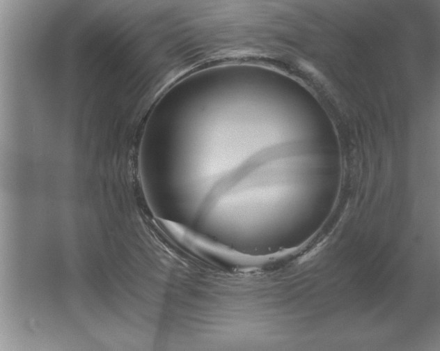 X0000062651361200512281636