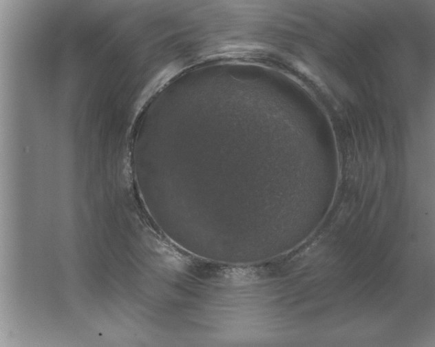 X0000062651362200512281636