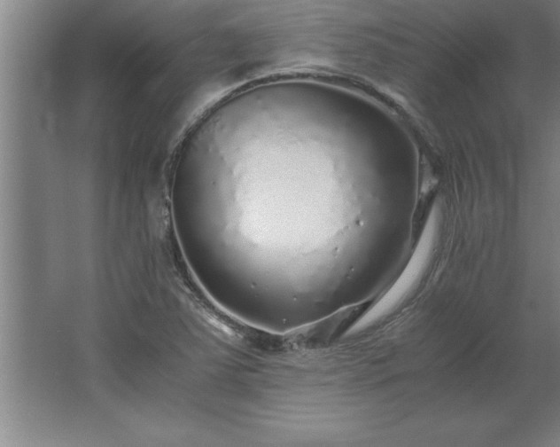 X0000062651363200512281636