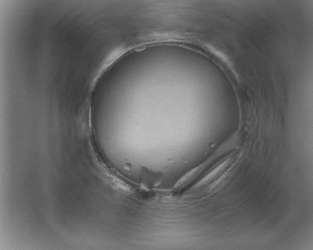 X0000062651365200512281636