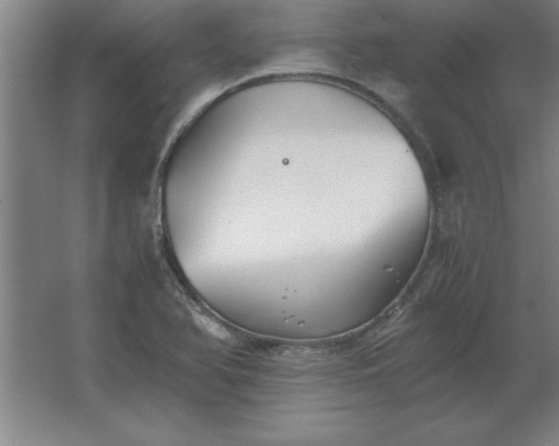 X0000062651366200512281636