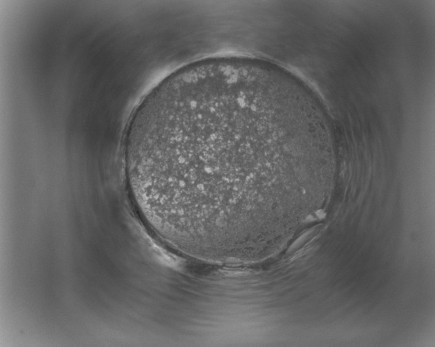 X0000062651367200512281636