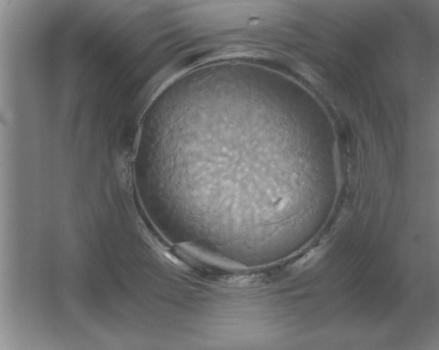 X0000062651369200512281636