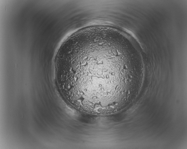 X0000062651371200512281636