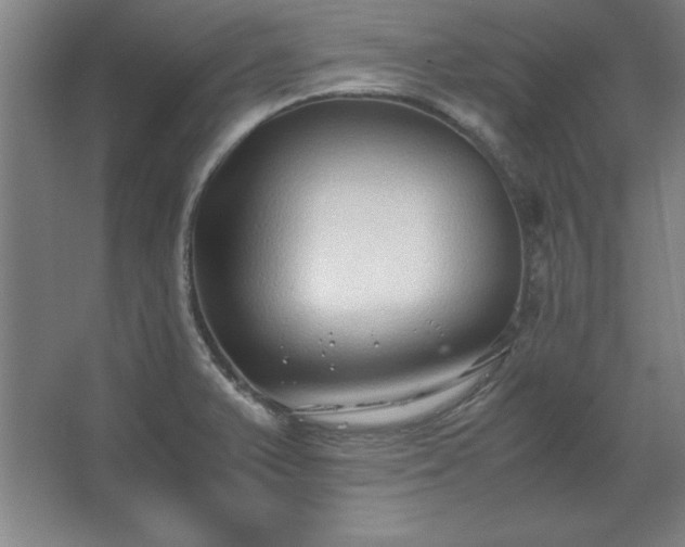 X0000062651375200512281636