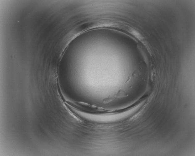 X0000062651377200512281636