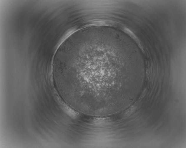 X0000062651378200512281636