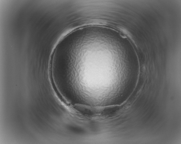 X0000062651379200512281636