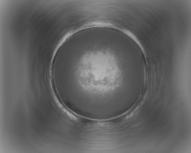 X0000062651381200512281636