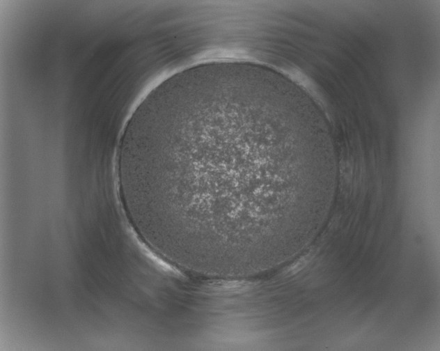 X0000062651382200512281636