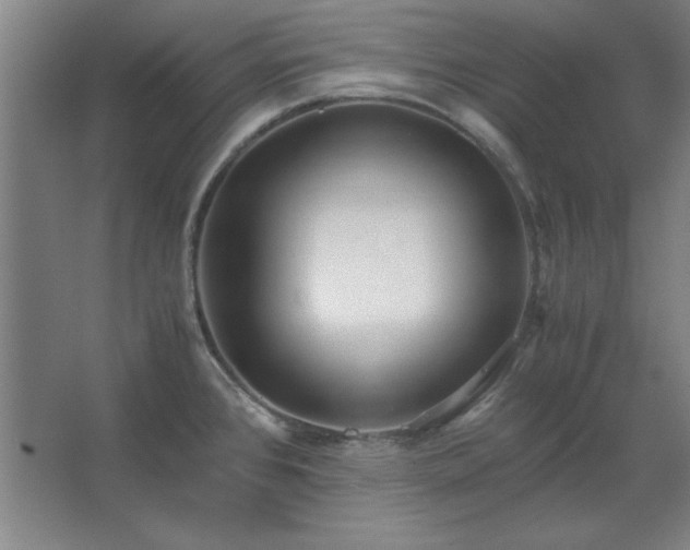 X0000062651384200512281636