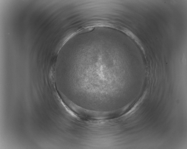 X0000062651385200512281636