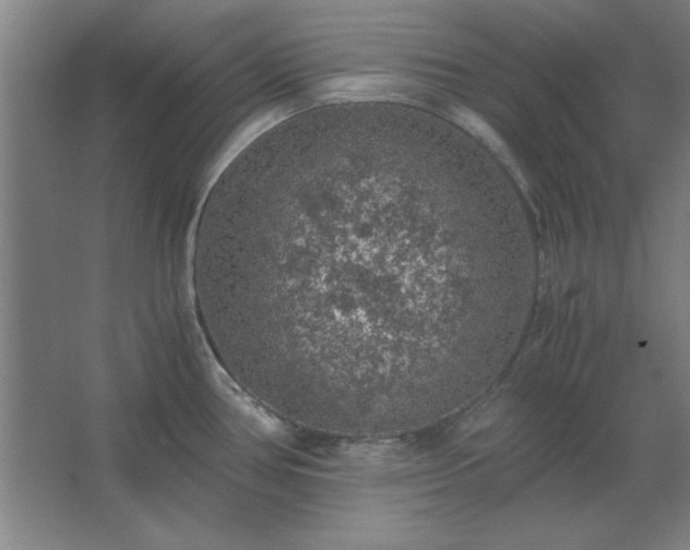 X0000062651386200512281636