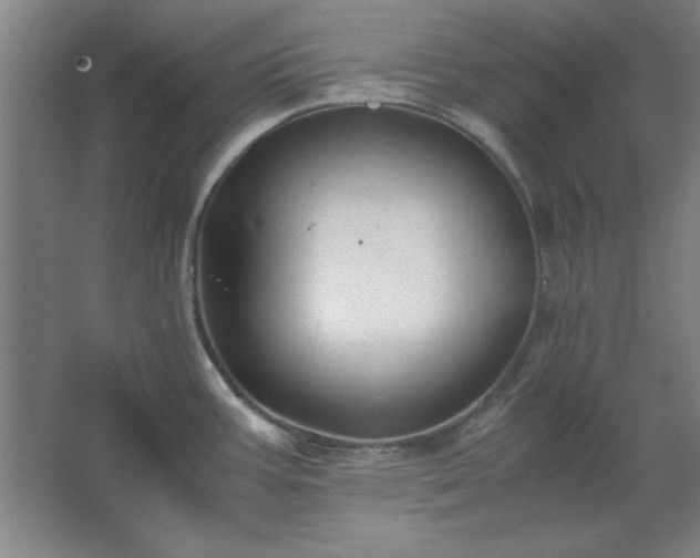 X0000062651387200512281636