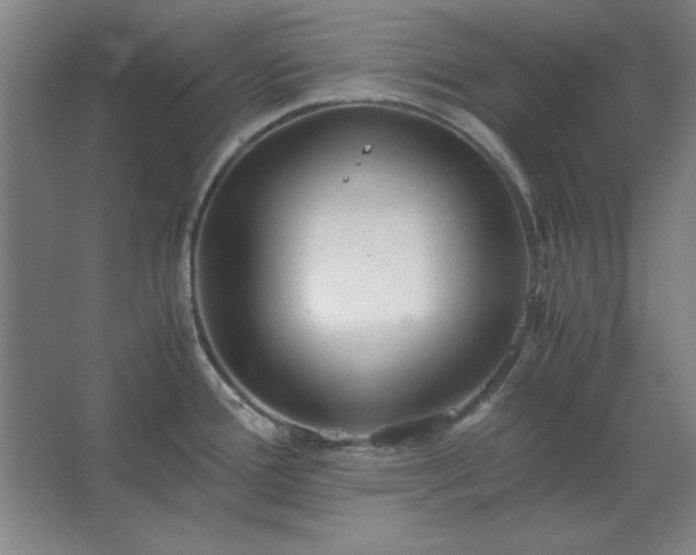 X0000062651388200512281636