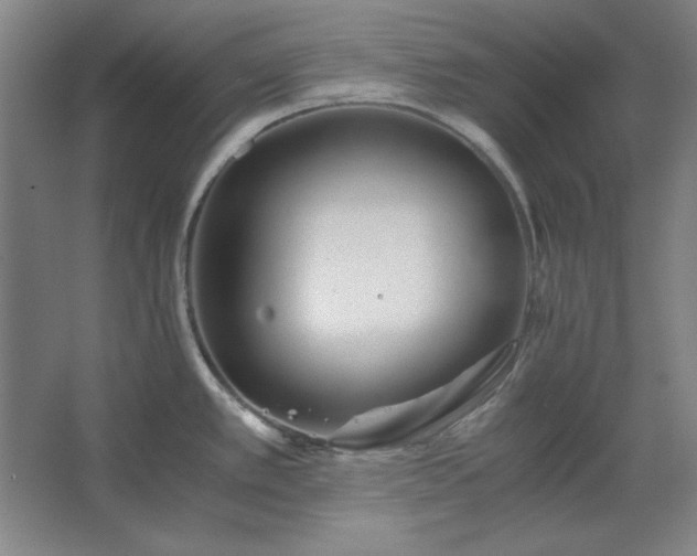 X0000062651389200512281636