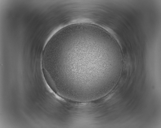 X0000062651390200512281636