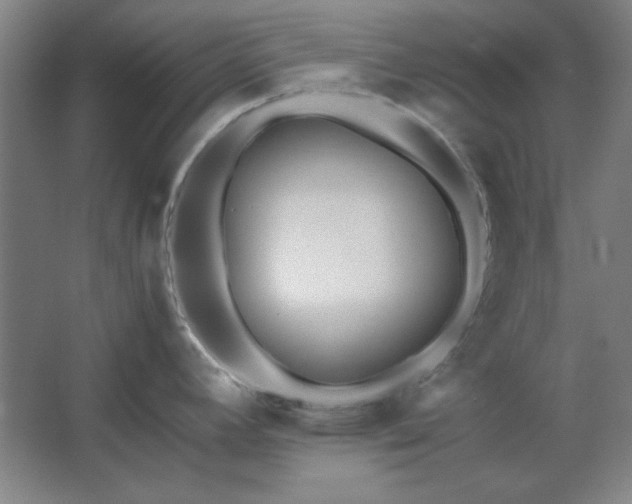 X0000062651392200512281636