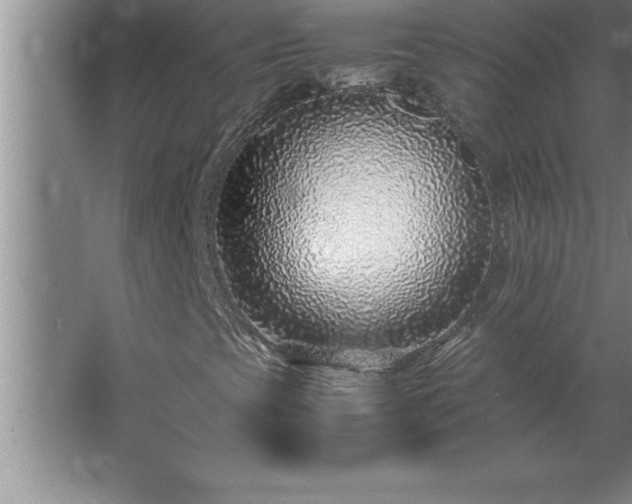 X0000062651393200512281635