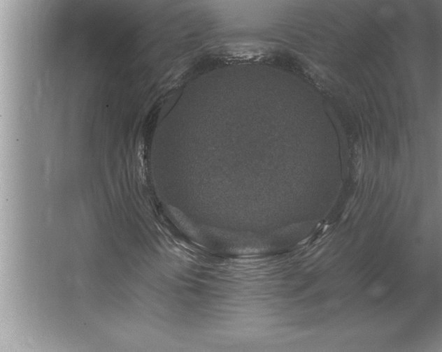 X0000062651394200512281635