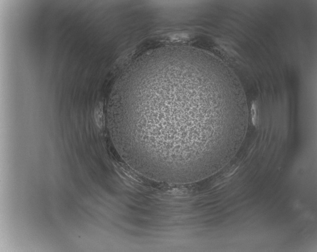 X0000062651395200512281635