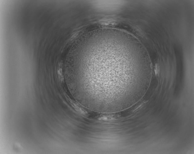 X0000062651396200512281635