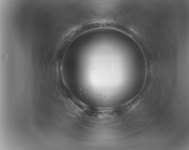 X0000062651398200512281635