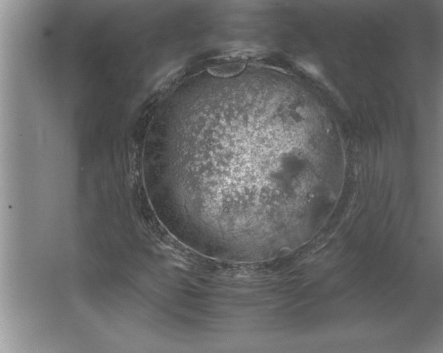 X0000062651399200512281635