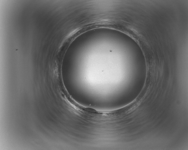 X0000062651402200512281635