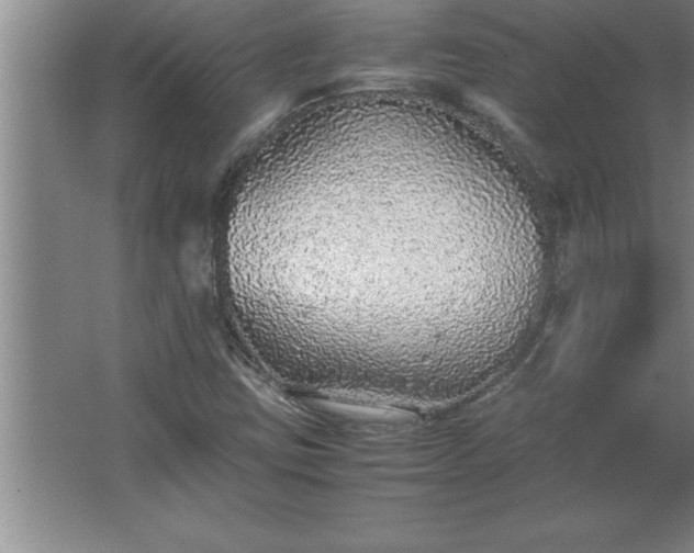 X0000062651403200512281635