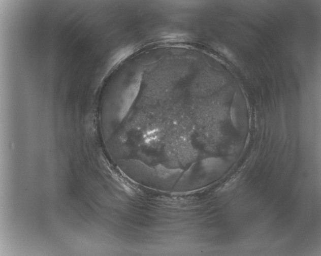 X0000062651405200512281635