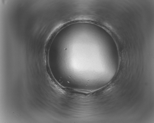 X0000062651408200512281635