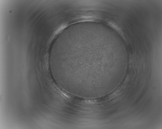 X0000062651411200512281635