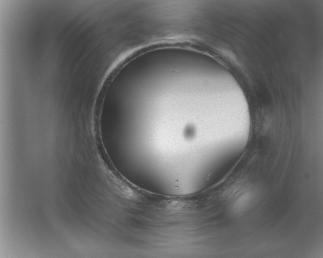 X0000062651412200512281635