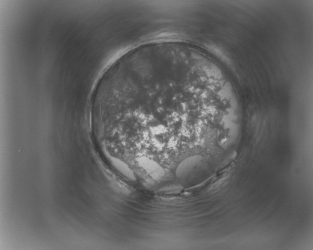 X0000062651413200512281635