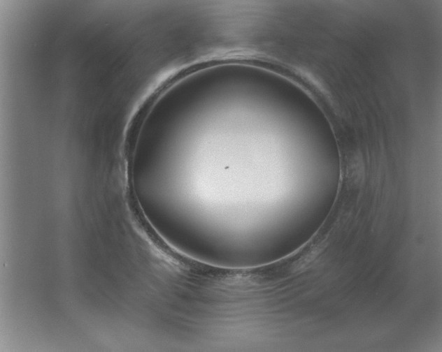 X0000062651414200512281635