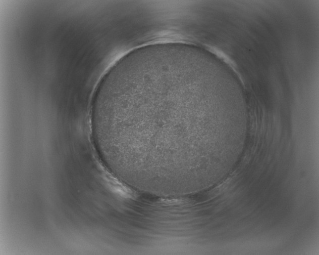 X0000062651415200512281635