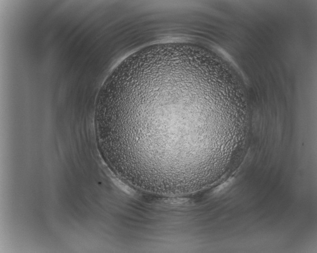 X0000062651417200512281635