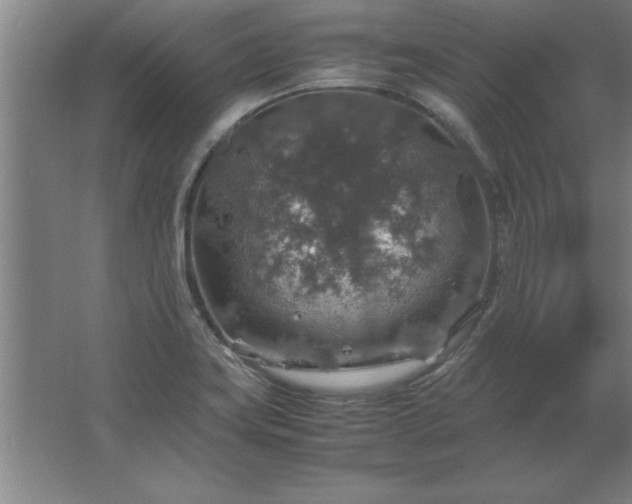 X0000062651419200512281635