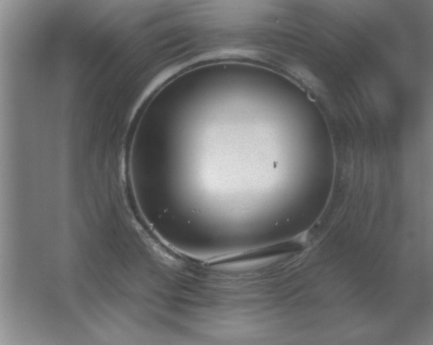 X0000062651420200512281635