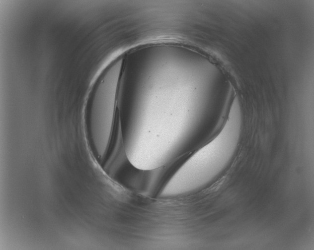 X0000062651422200512281635