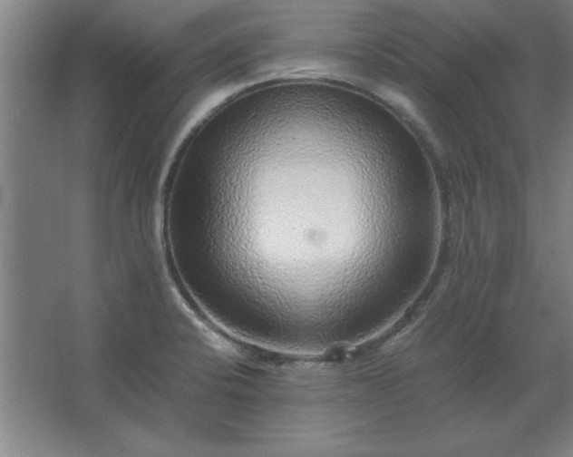 X0000062651424200512281635