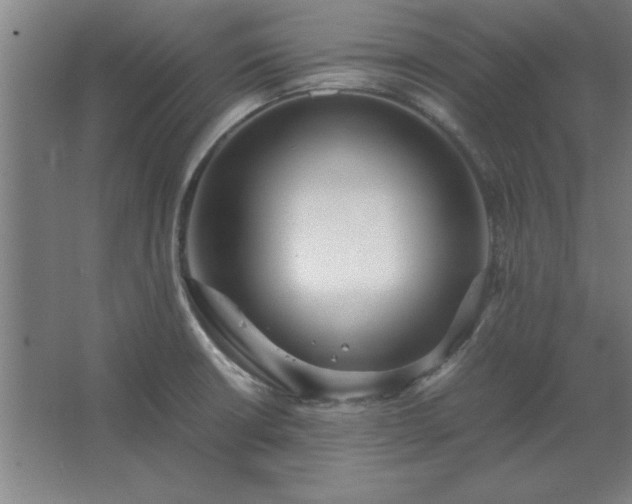 X0000062651426200512281635