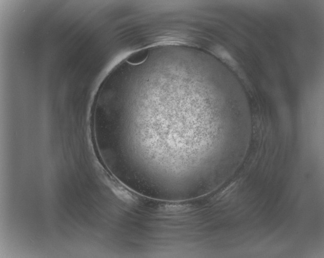 X0000062651427200512281635