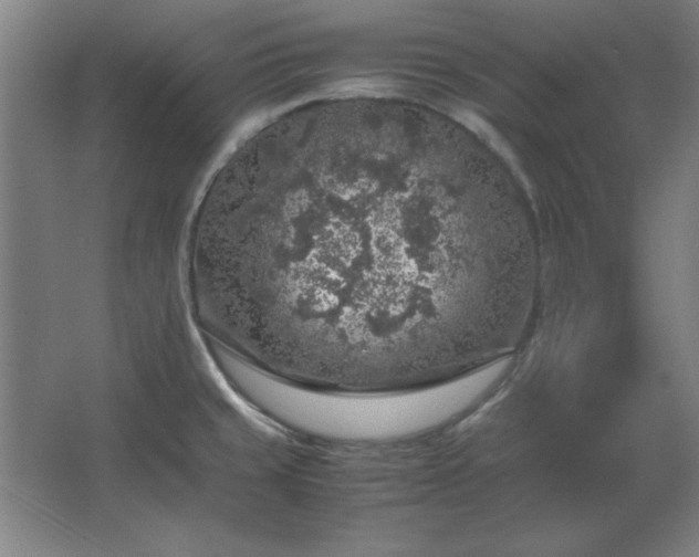 X0000062651429200512281635