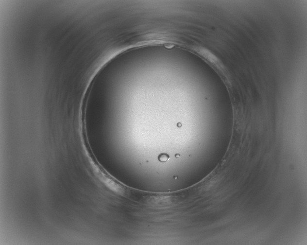 X0000062651431200512281635