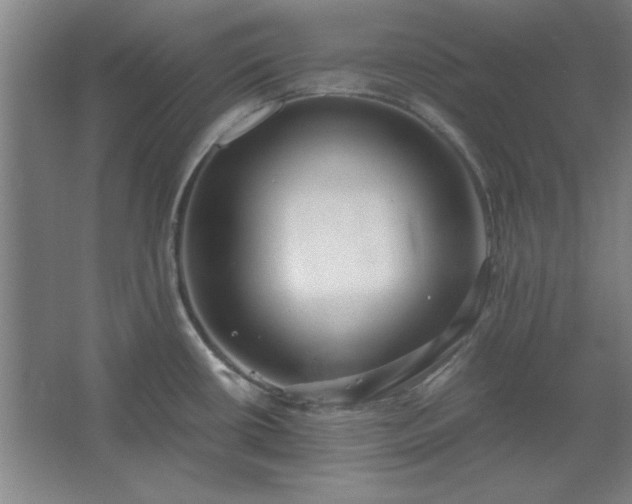 X0000062651434200512281636