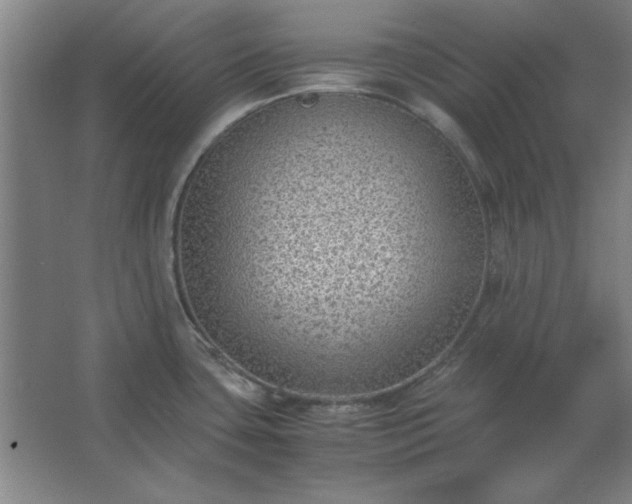 X0000062651435200512281636