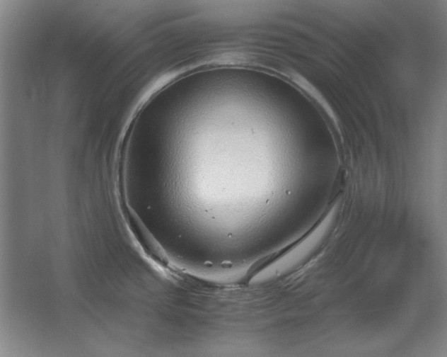 X0000062651437200512281636