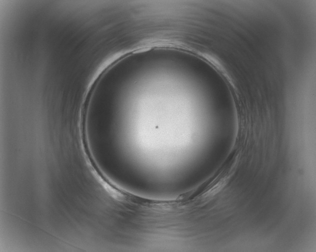 X0000062651438200512281636